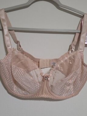 Kinga Bra Michelle Sheer Mesh Full Figure Beige Unlined Sz Bc 343